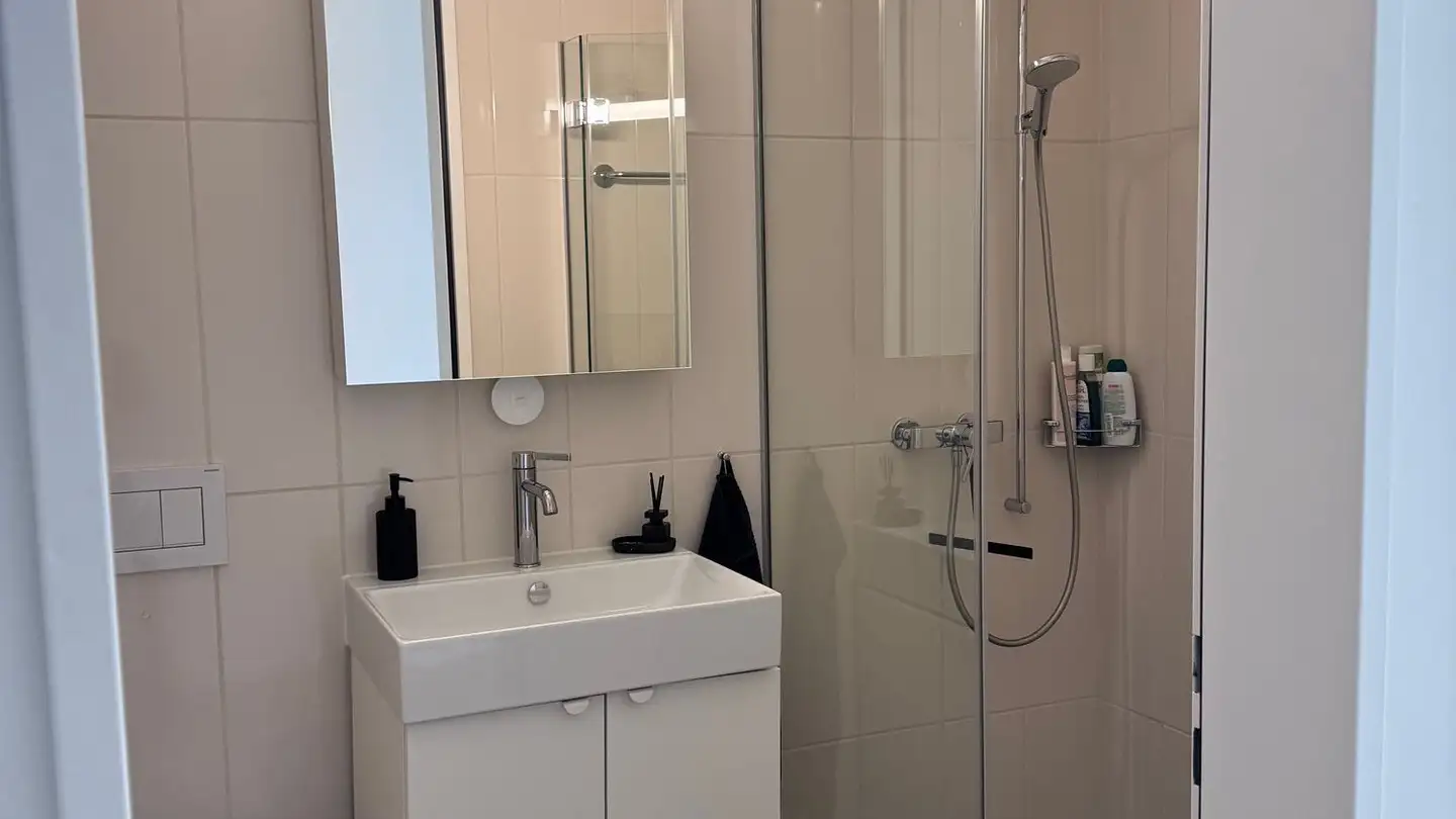 Appartement à louer - Austrasse 52, 8045 Zürich - Photo 4
