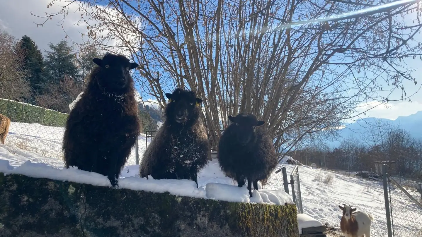 Casa singola in affitto - 1807 Blonay