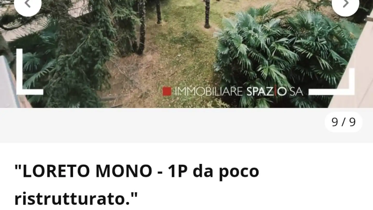 Appartamento in affitto - Strada Regina, 6900 Lugano - Foto 4