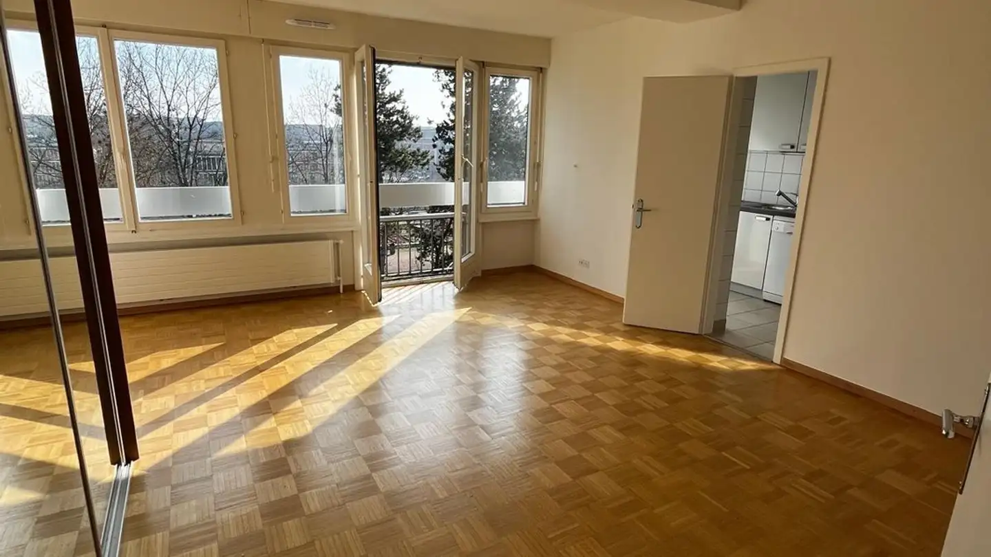 Appartamento in affitto - Chemin Taverney 7, 1218 Le Grand-Saconnex