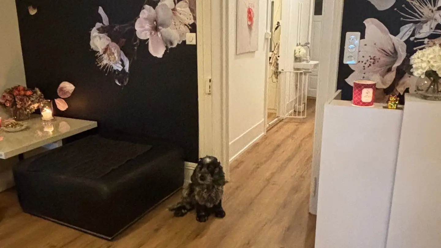 Cabinet médical à louer - Seefeldstrasse, 8008 Zürich - Photo 2