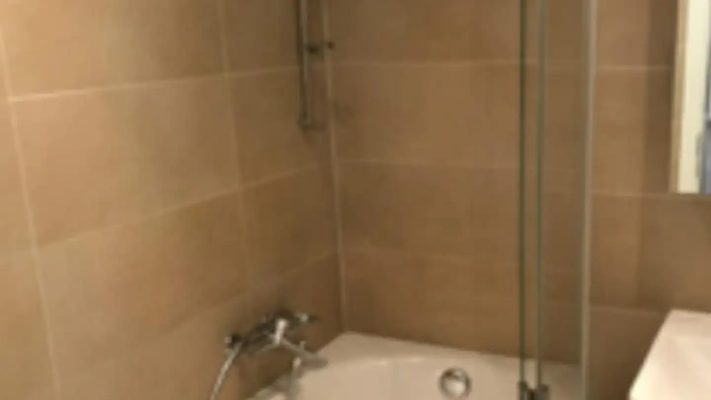 Apartment for rent - Rue Des Tilleuls 3, 1800 Vevey - Photo 4