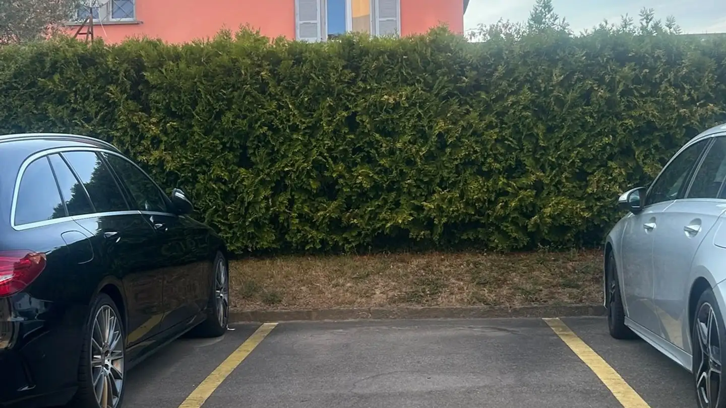 Parcheggio esterno in affitto - Avenue Du Tir-Fédéral 33, 1024 Ecublens VD