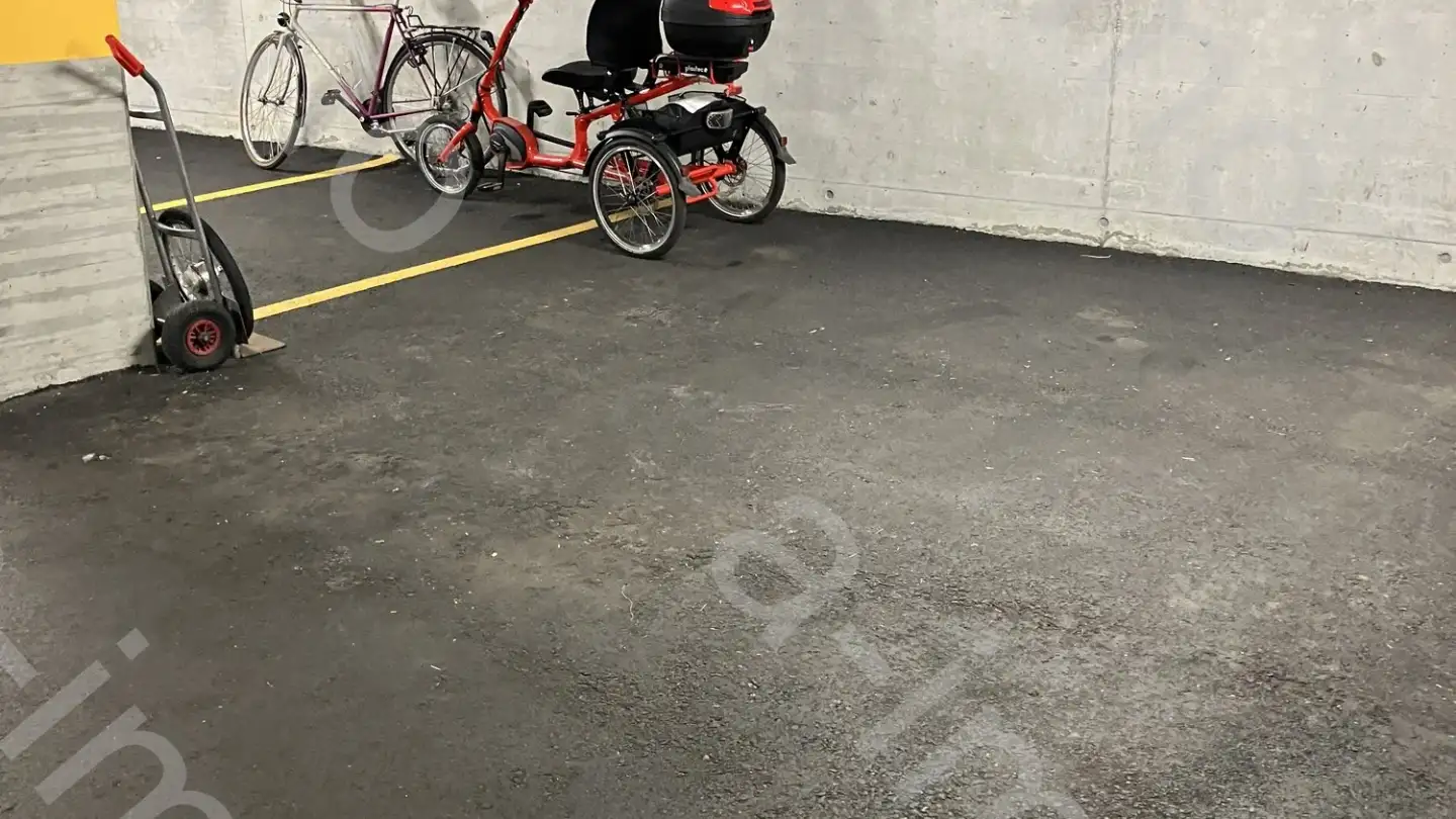 Underground parking space for sale - Stumpenbachstrasse 32, 5734 Reinach AG - Photo 2