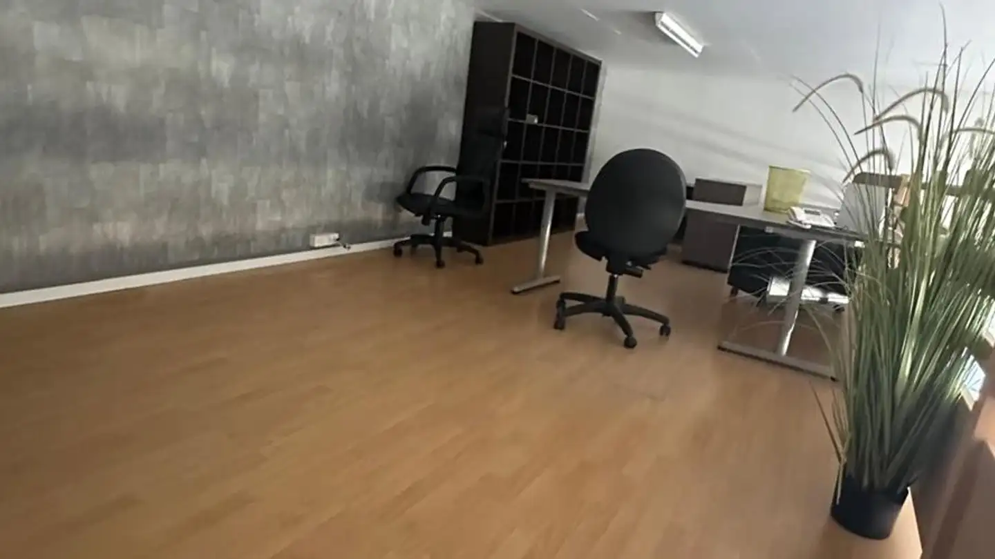 Mixed-use building for rent - Route du Remonfin 30, 1897 Bouveret - Photo 3