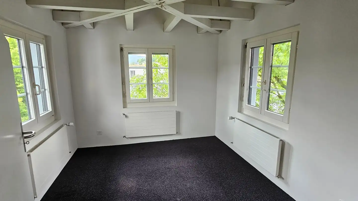 Commerciale in affitto - Châtelstrasse 6, 8355 Aadorf - Foto 4