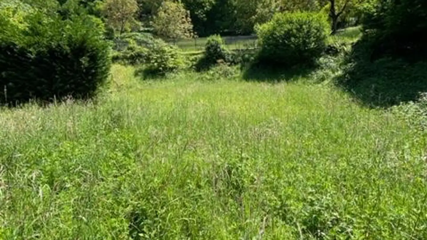 Terreno edificabile in vendita - 6827 Brusino Arsizio - Photo 4