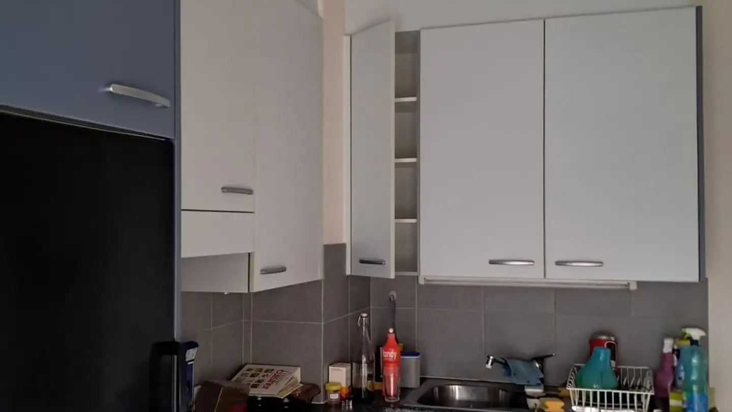 Wohnung mieten - 1018 Lausanne - Foto 4