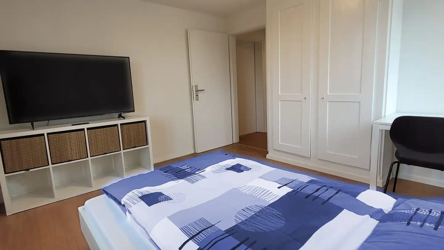 Furnished apartment for rent - Bürglistrasse, 8400 Winterthur