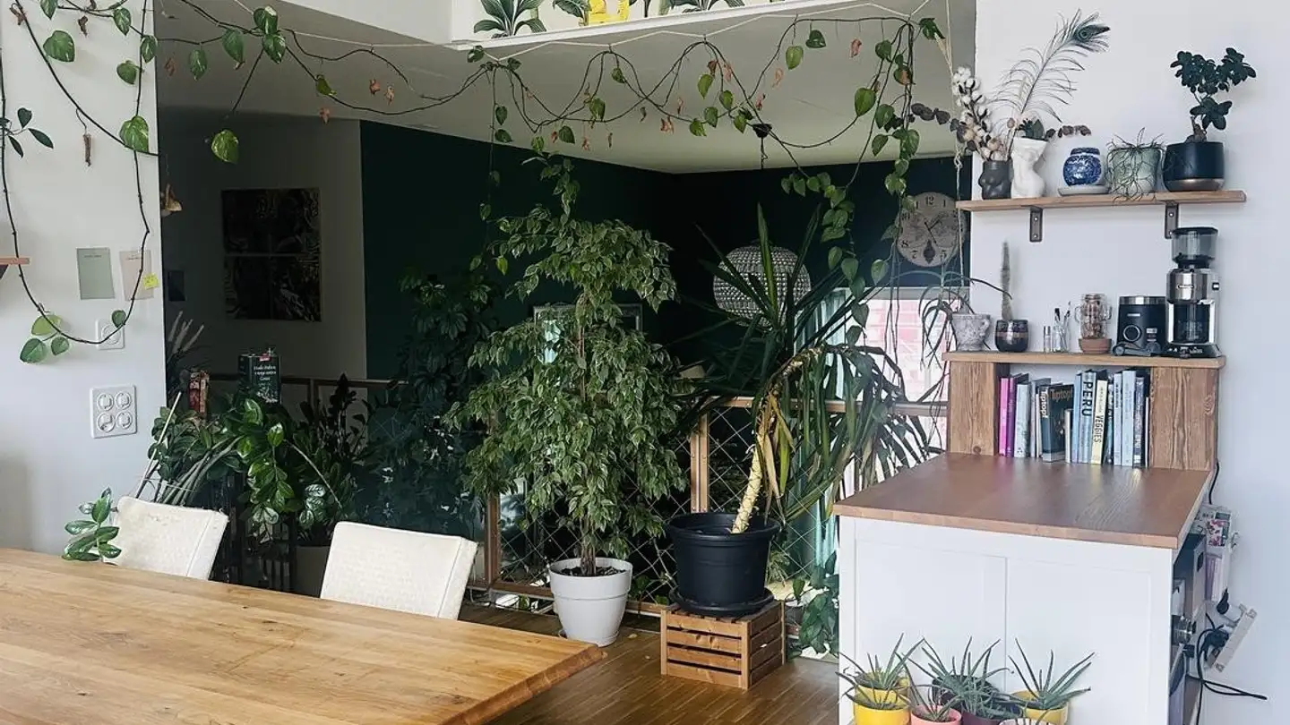 Appartamento in affitto - Güterstrasse, 8952 Schlieren