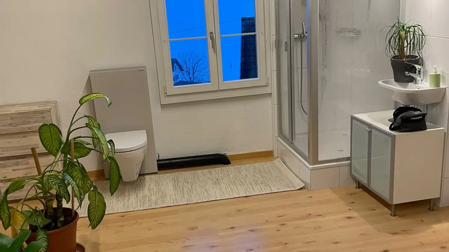 Single room for rent - Rebstockstrasse 8, 5628 Aristau - Photo 3