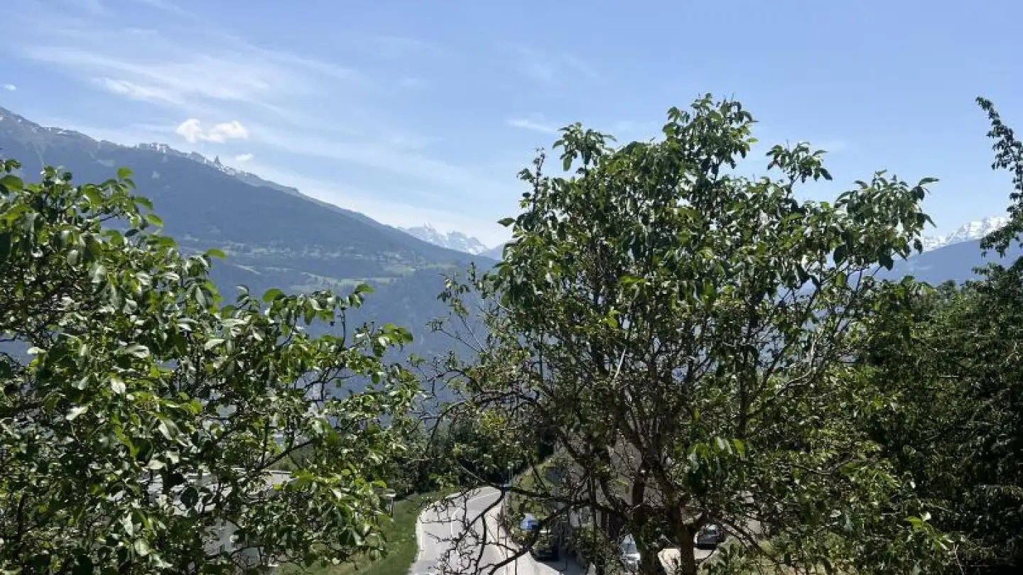 Constructible plot for sale - 1966 Blignou (Ayent) - Photo 2