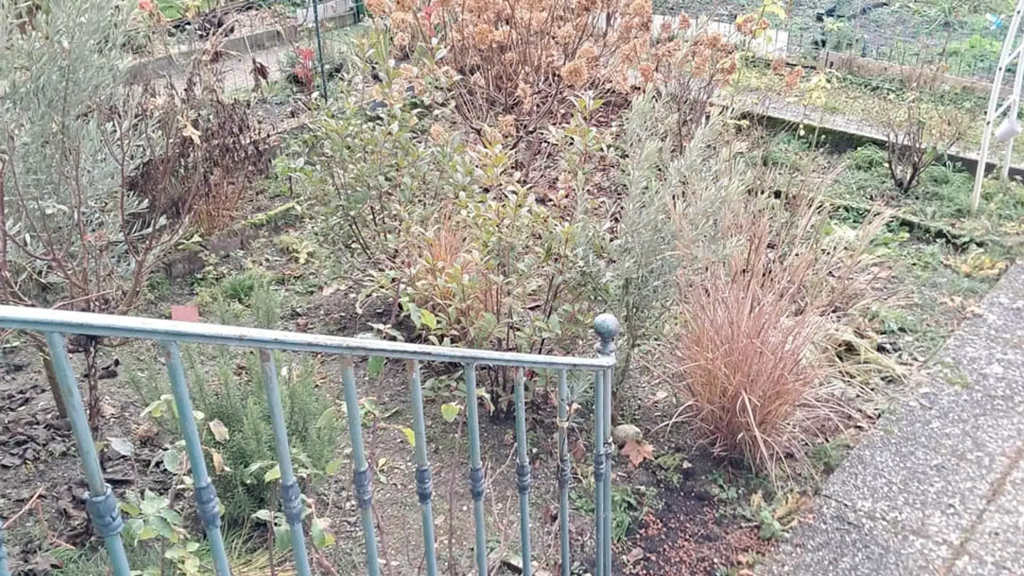 Appartement à louer - Route Aloys-Fauquez 49, 1018 Lausanne - Photo 2