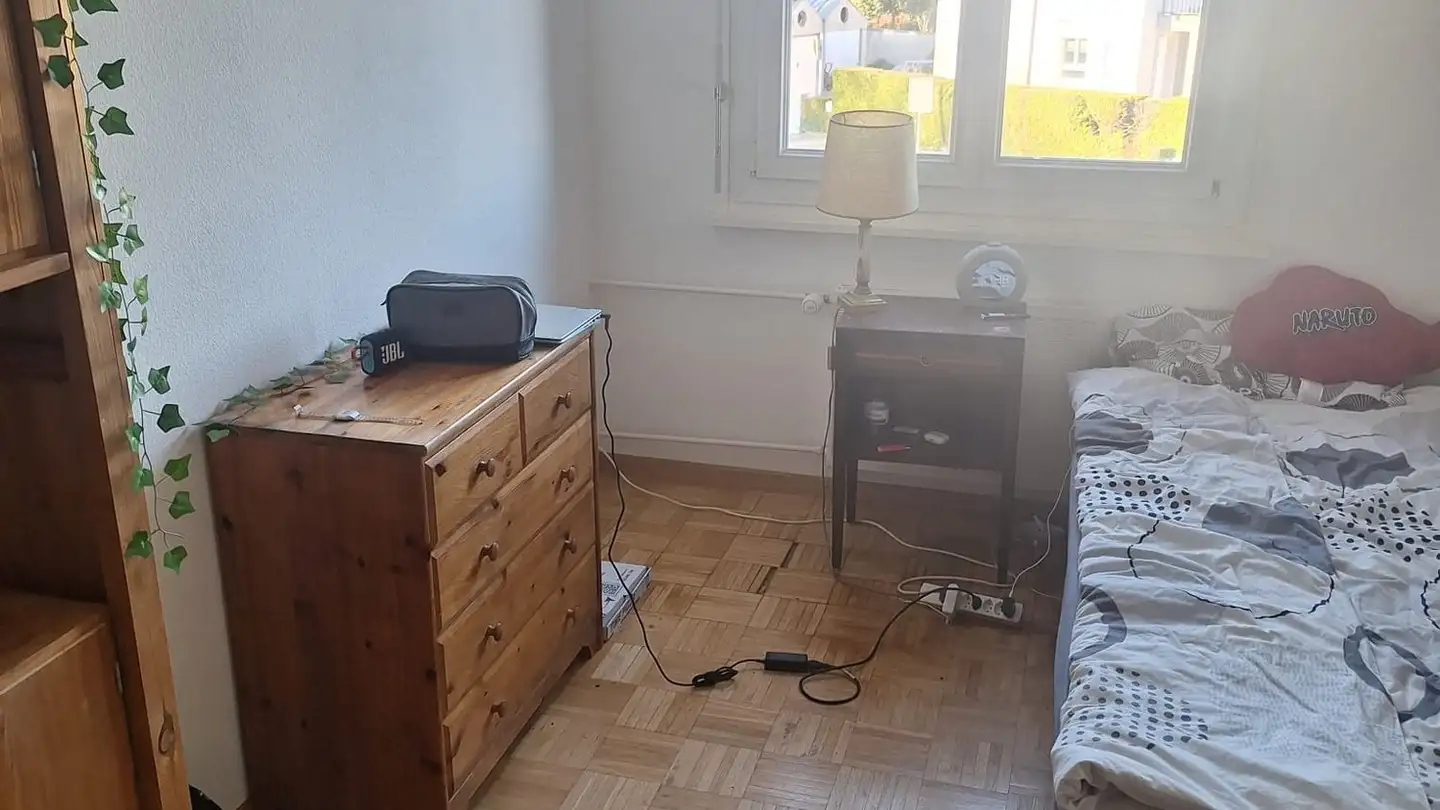 Stanza singola in affitto - Rue Des Alpes 10c, 1196 Gland