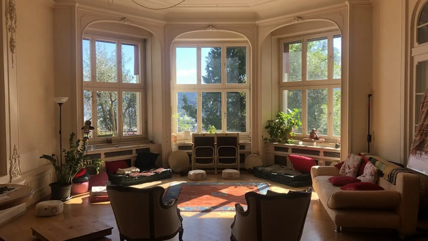 Chambre à louer - Frankentalerstrasse 55, 8049 Zürich - Photo 3