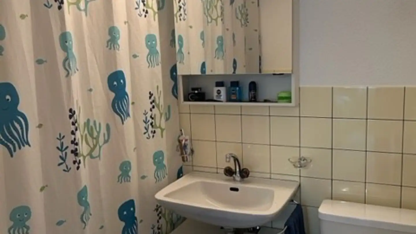 Apartment for rent - Prätschliweg 2, 7000 Chur - Photo 4