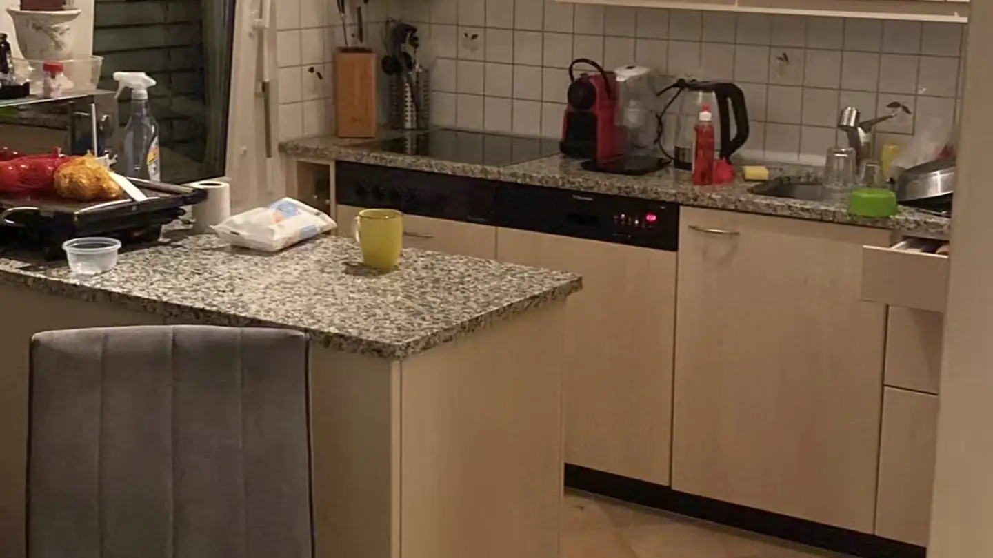 Apartment for rent - Jurastrasse 1, 4534 Flumenthal - Photo 4