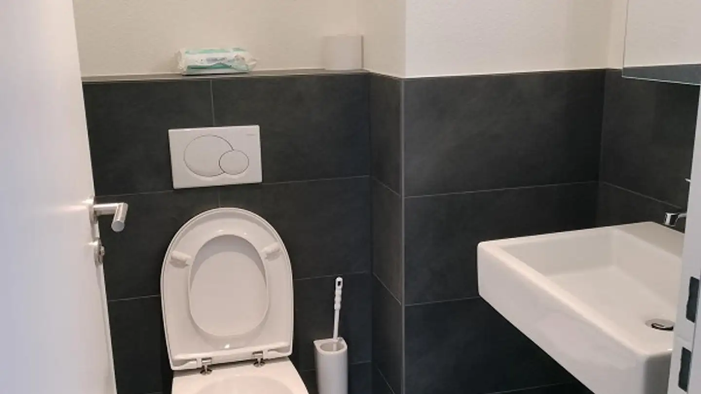 Appartamento in affitto - Chamerstrasse 77, 6300 Zug - Foto 4