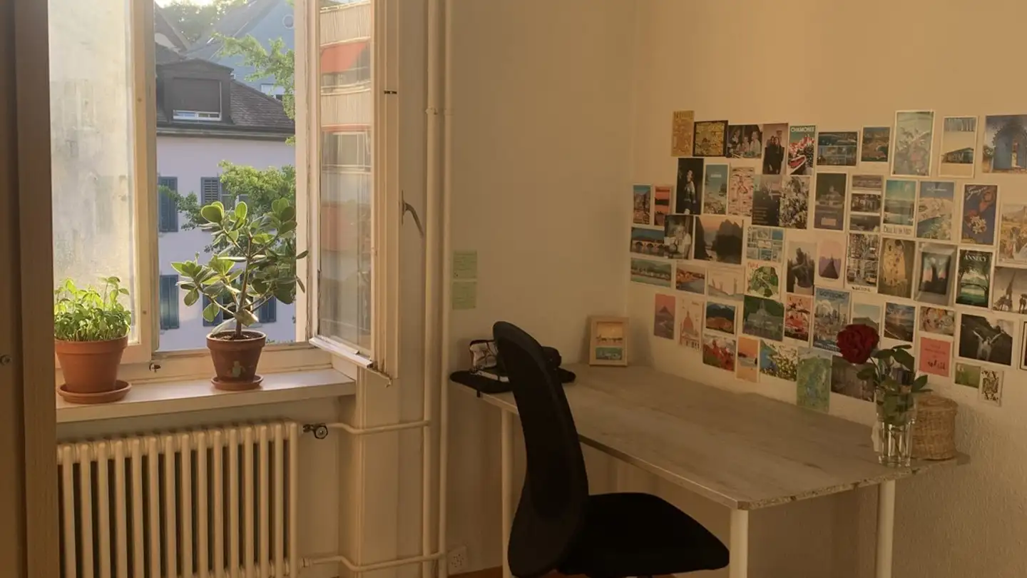 Chambre à louer - 8002 Zürich