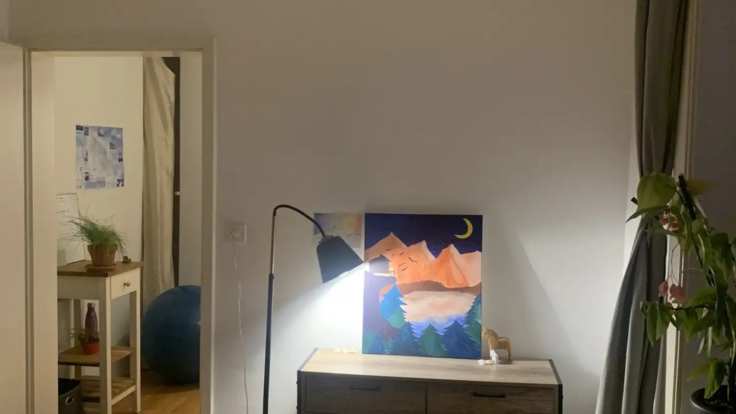 Chambre à louer - 8002 Zürich - Photo 3