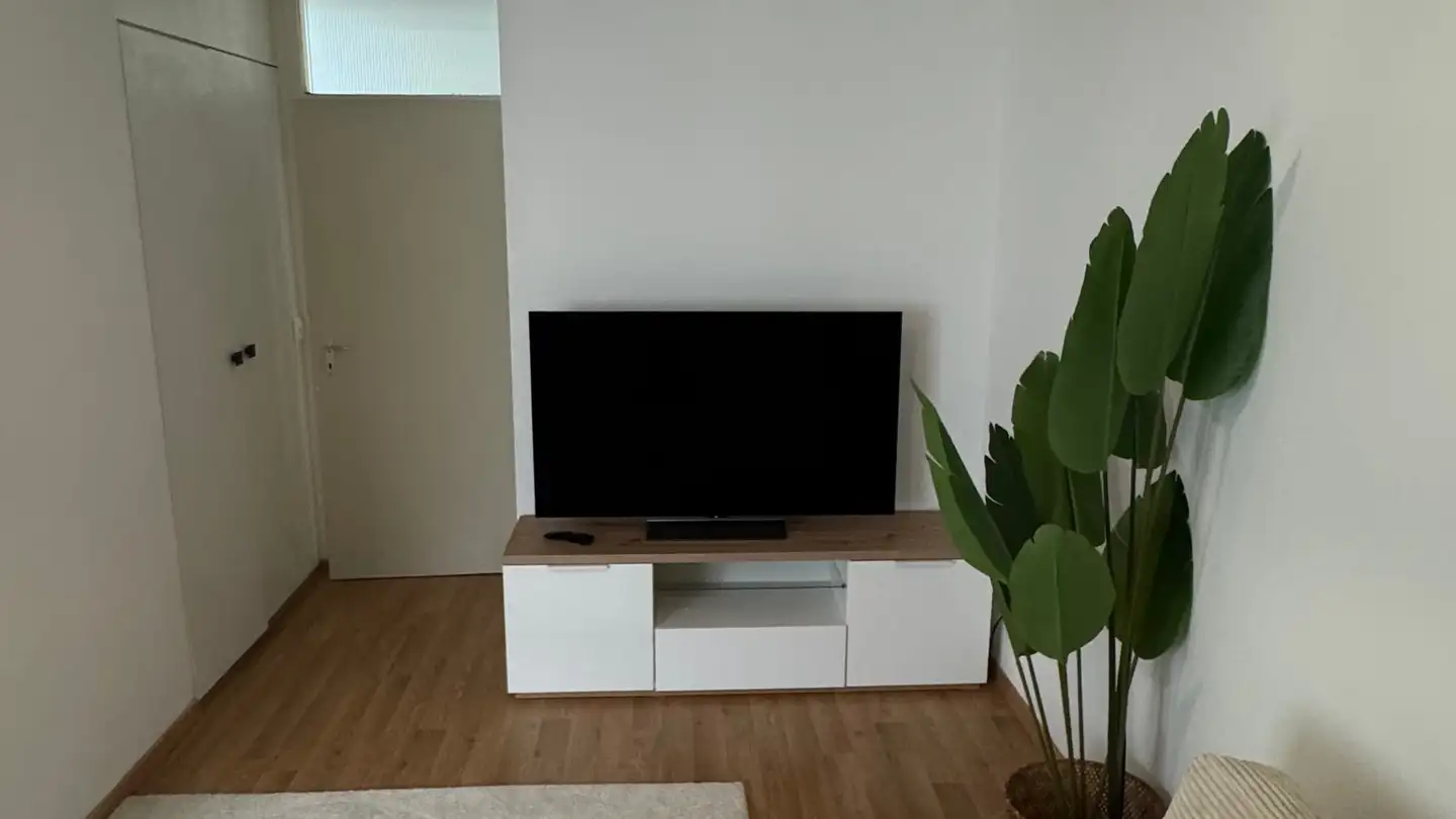 Apartment for rent - Frohburgerstrasse 9, 4132 Muttenz - Photo 2