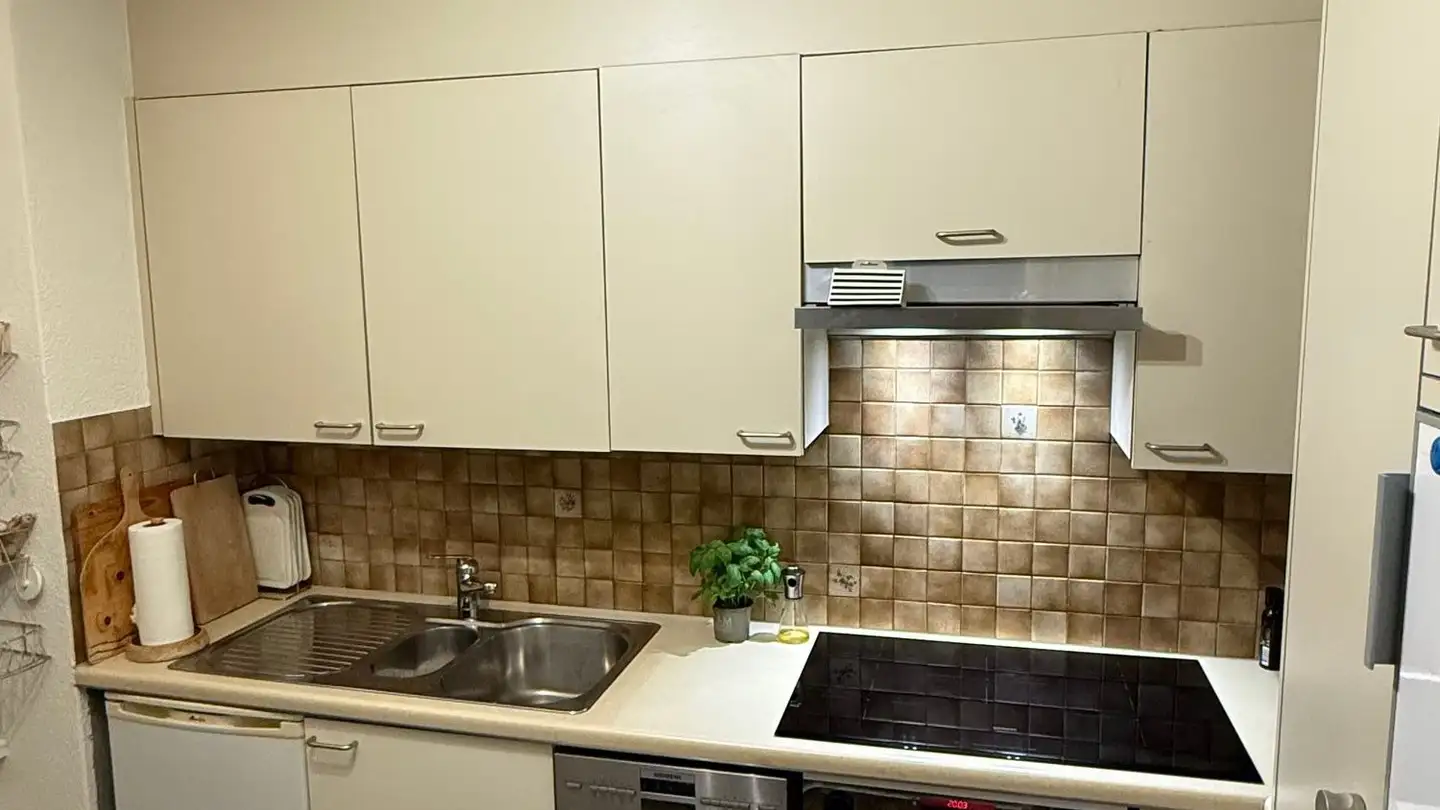 Appartement à louer - Etzelstrasse 33, 8820 Wädenswil - Photo 4