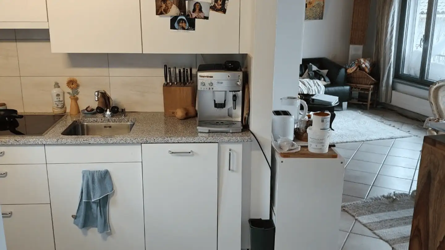 Wohnung mieten - Strada Collina, 6612 Ascona - Foto 2