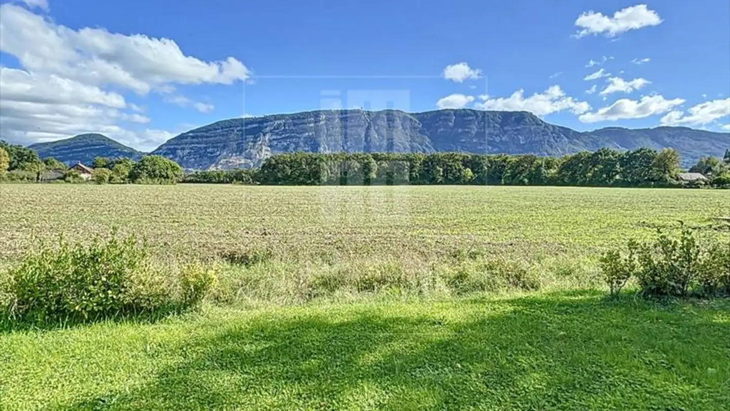 Edificio ad uso misto in vendita - 1234 Vessy