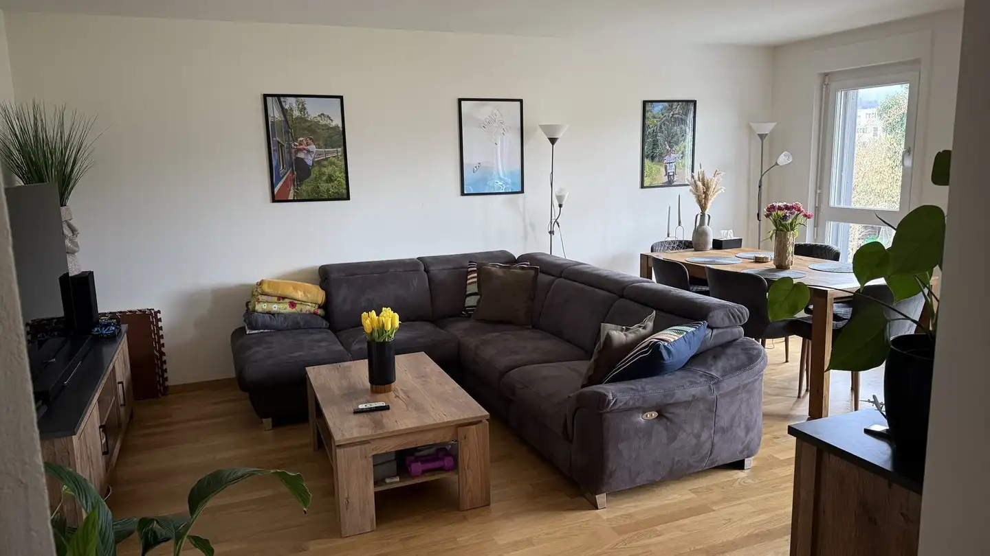 Appartamento in affitto - Bahnhofstrasse 8a, 8353 Elgg - Foto 2