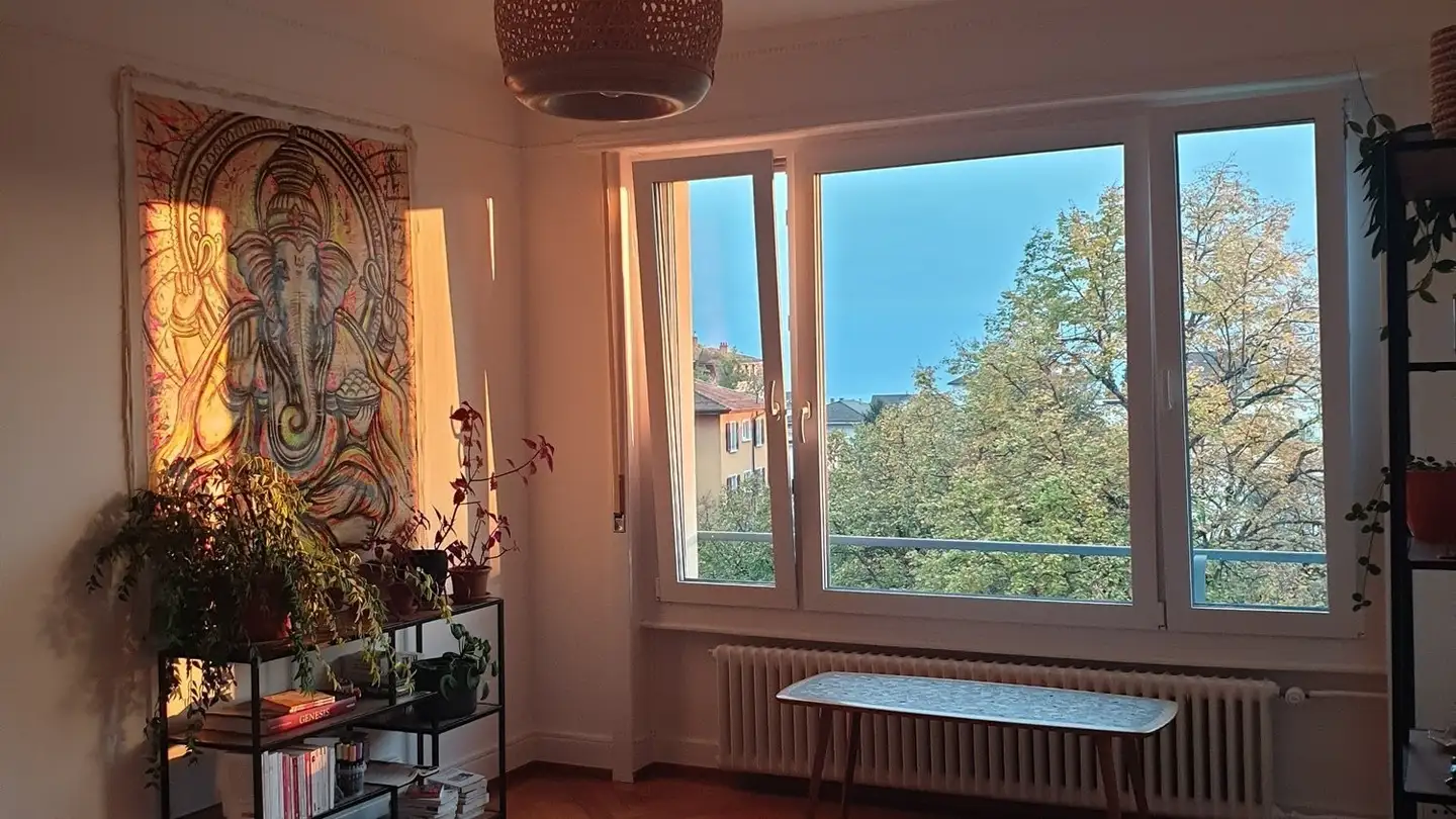 Appartamento in affitto - 1006 Lausanne