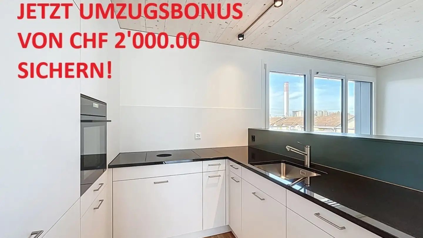 Apartment for rent - Luegislandstrasse 350, 8051 Zürich