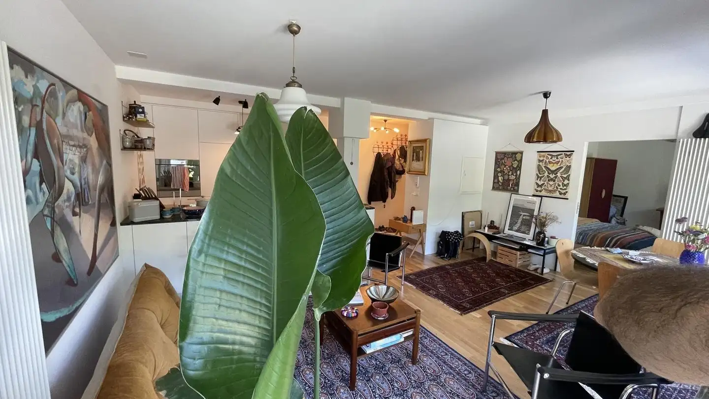 Wohnung mieten - 8057 Zürich