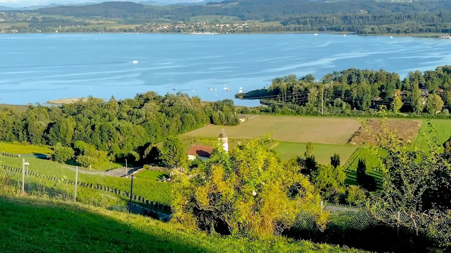 Single house for sale - Bellerive, 1585 Bellerive VD