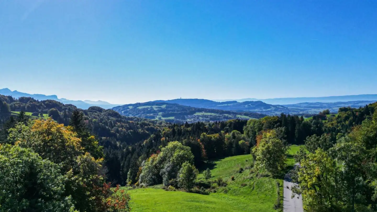 Single house for rent - Route De La Frasse, 1618 Châtel-St-Denis - Photo 2