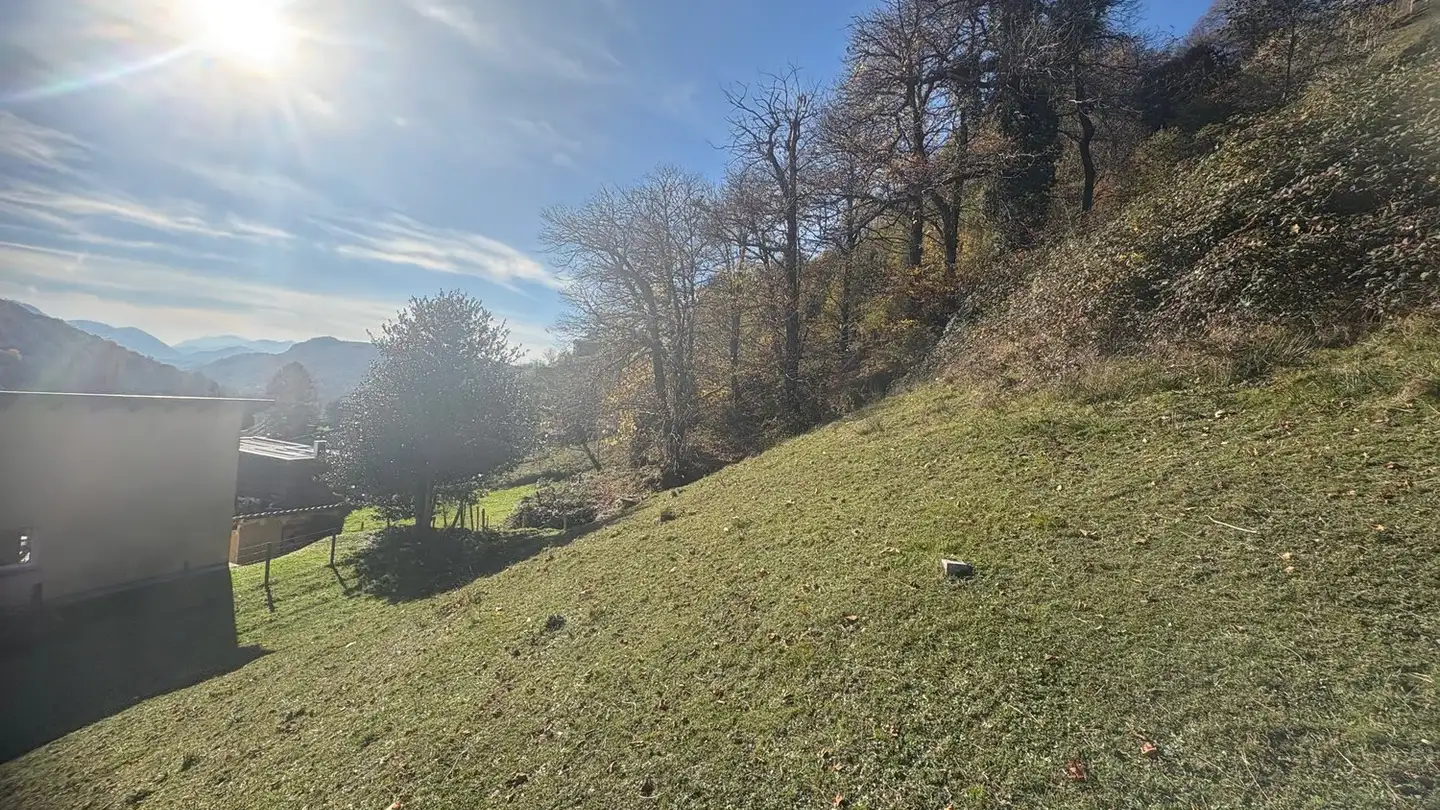Terrain constructible à vendre - 6955 Oggio