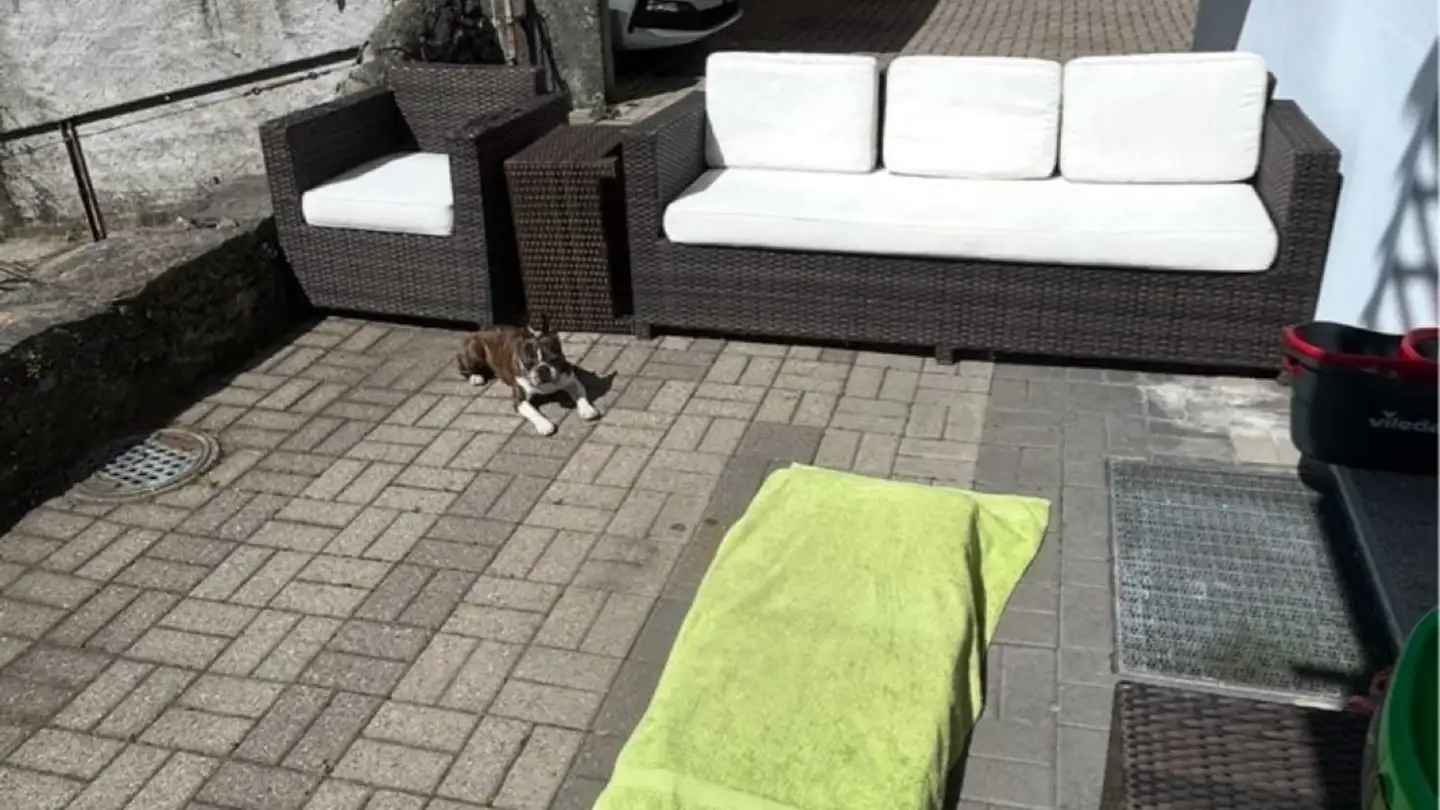 Wohnung mieten - 6500 Bellinzona - Foto 4