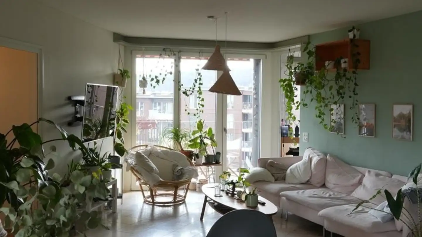 Stanza singola in affitto - Käferholzstrasse 54, 8057 Zürich