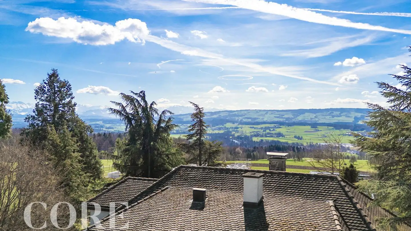 Single house for sale - Augenweidstrasse 68, 8966 Oberwil-Lieli - Photo 3