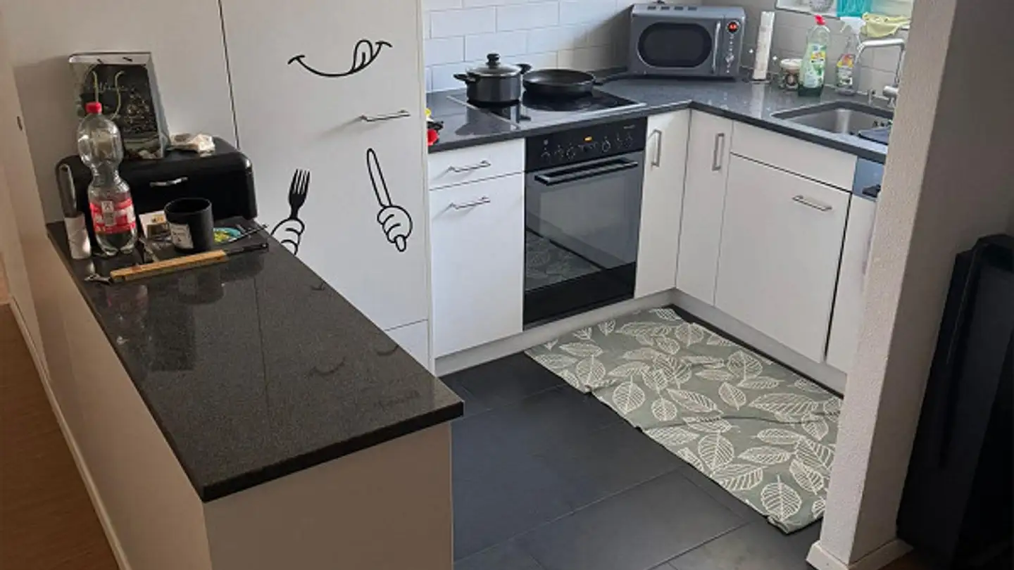 Appartamento in affitto - Zürcherstrasse 91, 8500 Frauenfeld - Foto 3