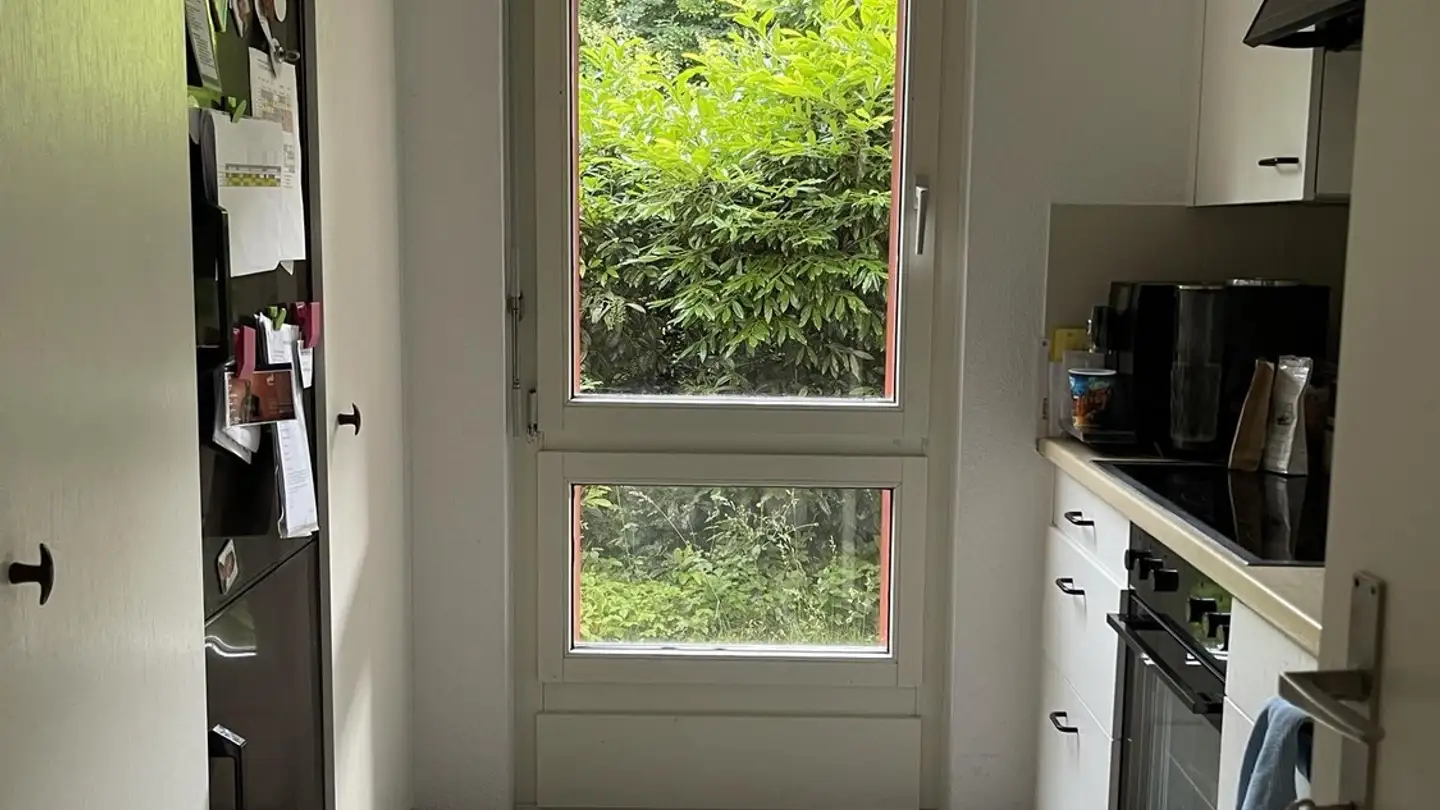 Chambre à louer - 8820 Wädenswil