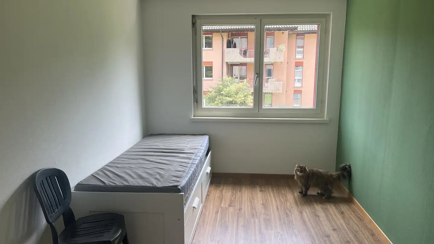 Chambre à louer - 8820 Wädenswil - Photo 2