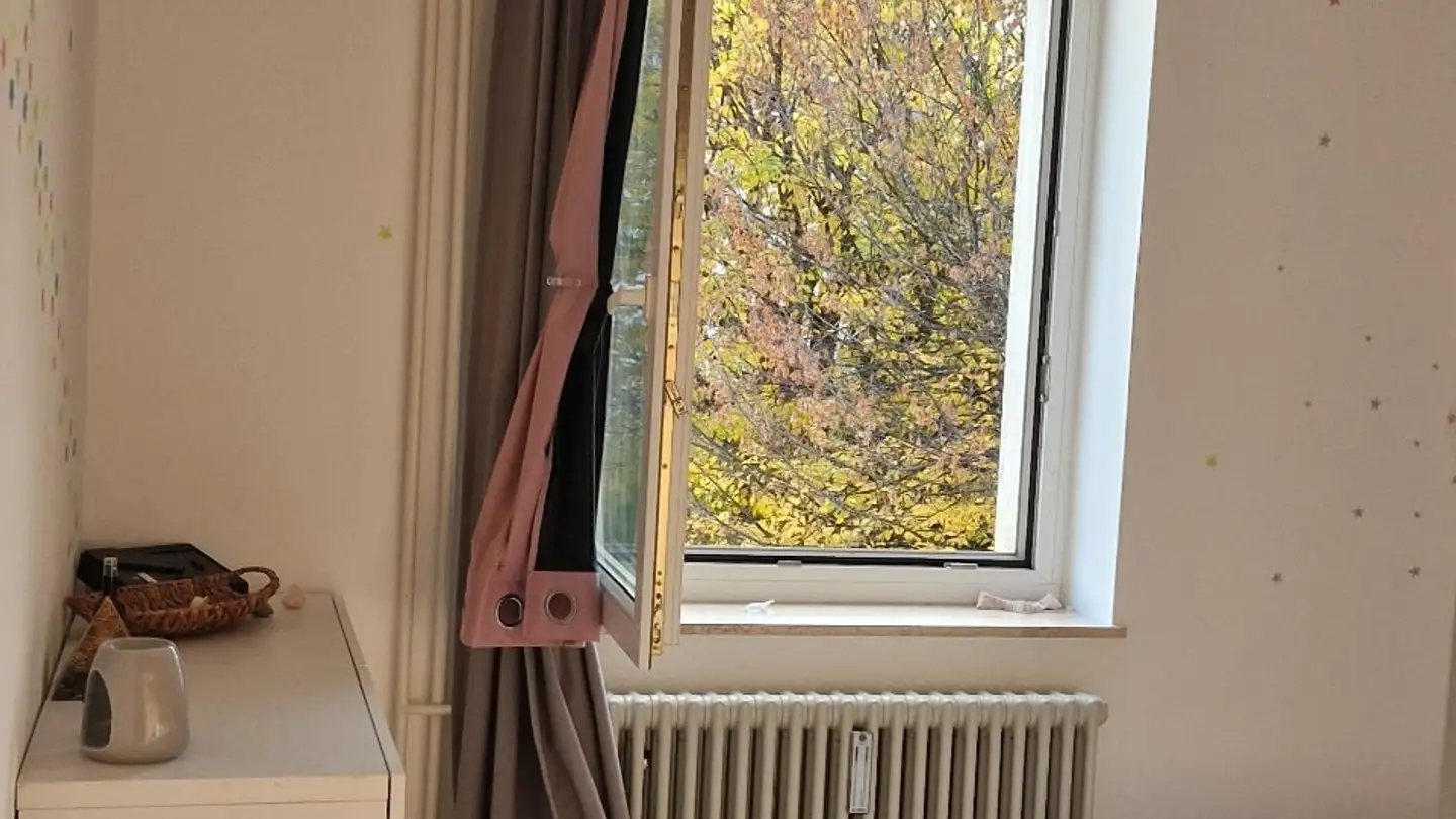 Apartment for rent - 9016 St. Gallen - Photo 2