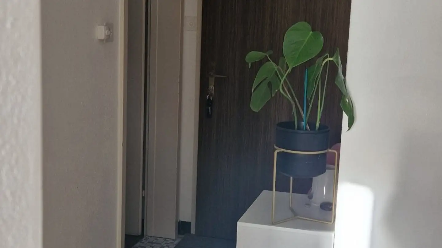 Apartment for rent - 9016 St. Gallen - Photo 3