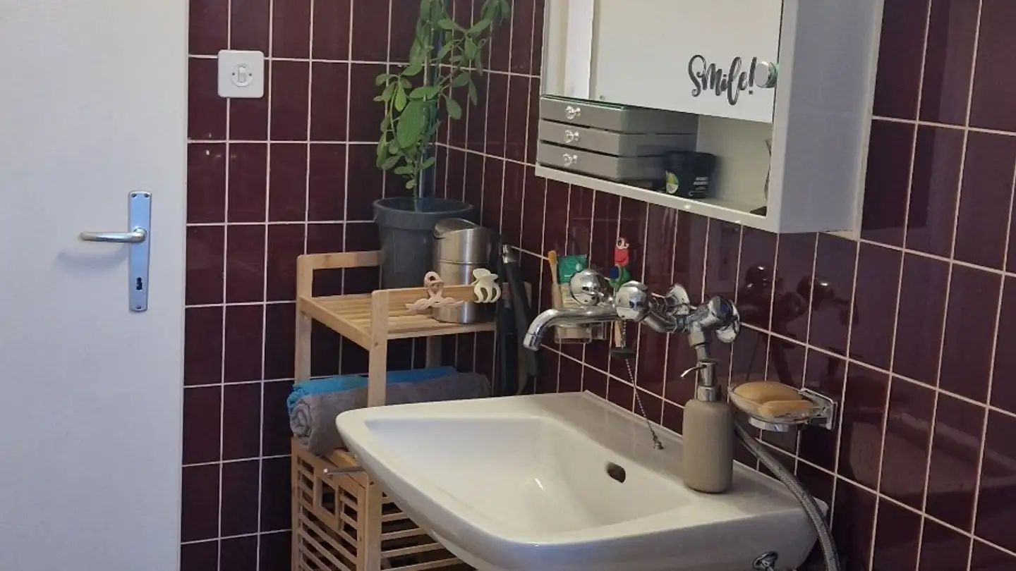 Apartment for rent - 9016 St. Gallen - Photo 4