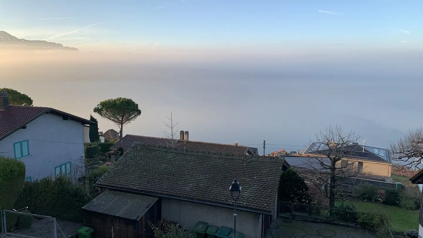 Appartement à louer - 1091 Grandvaux - Photo 4