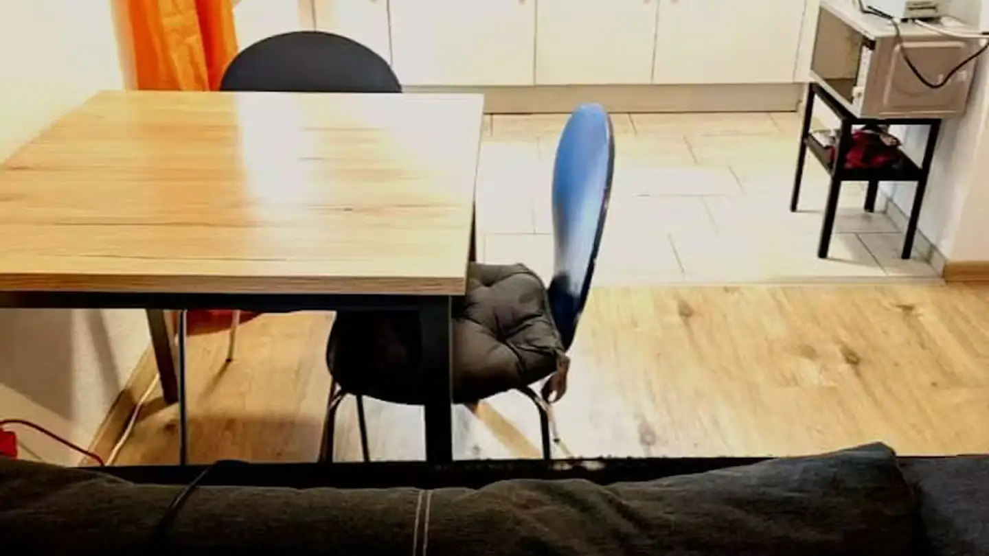 Wohnung mieten - Altbergstrasse, 8953 Dietikon - Foto 4