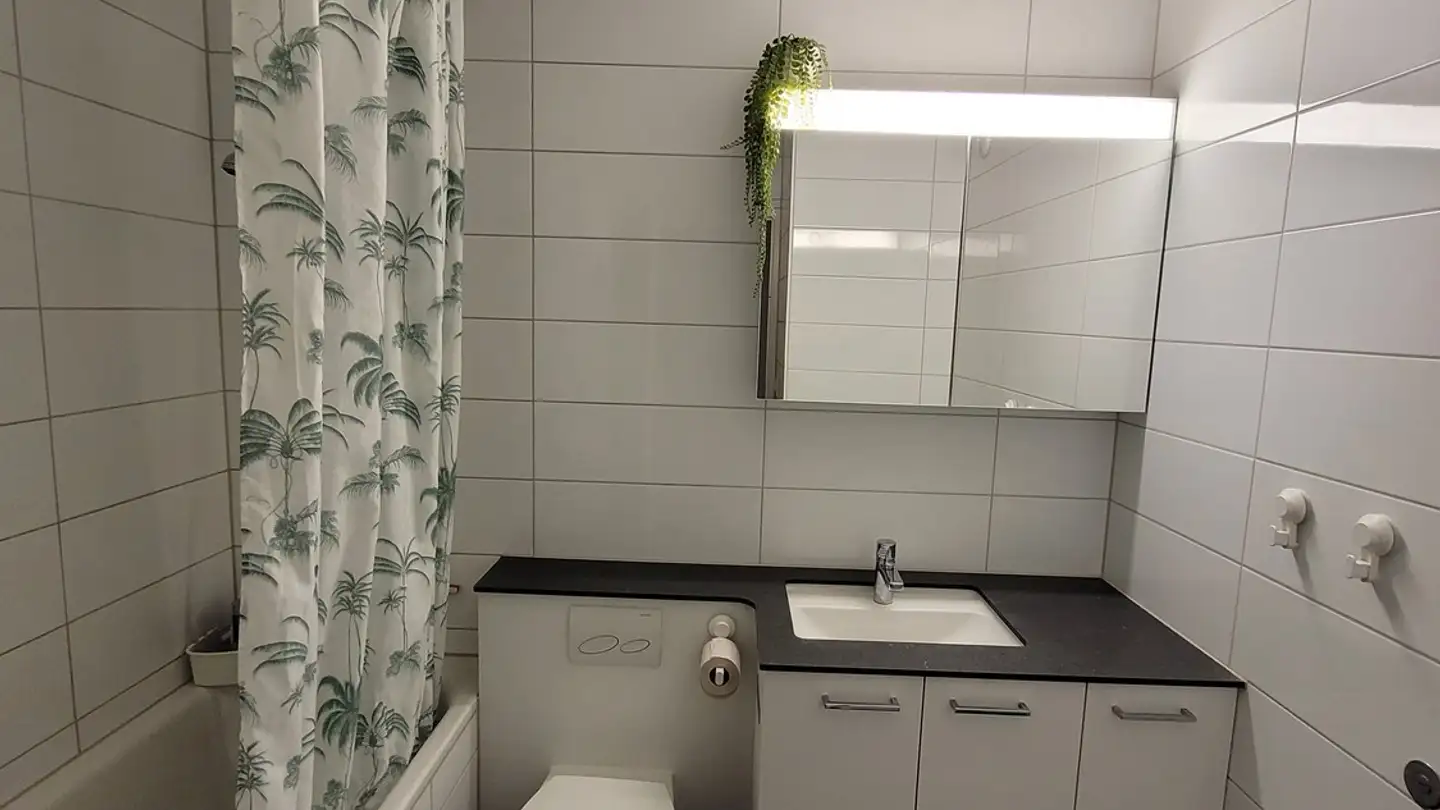 Appartamento in affitto - 8053 Zürich - Foto 3