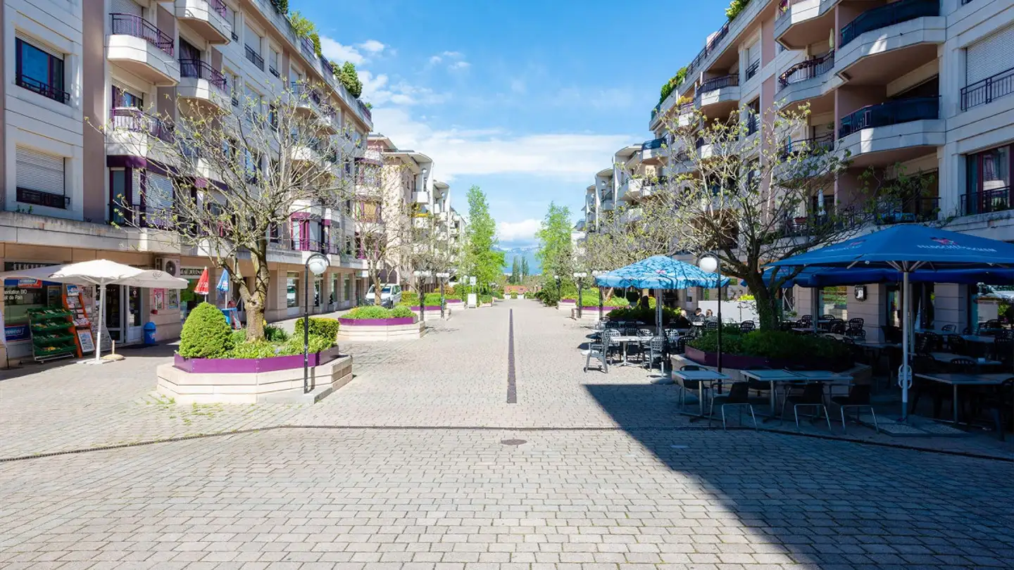 Appartement à louer - Chemin Frisco, 1208 Genève