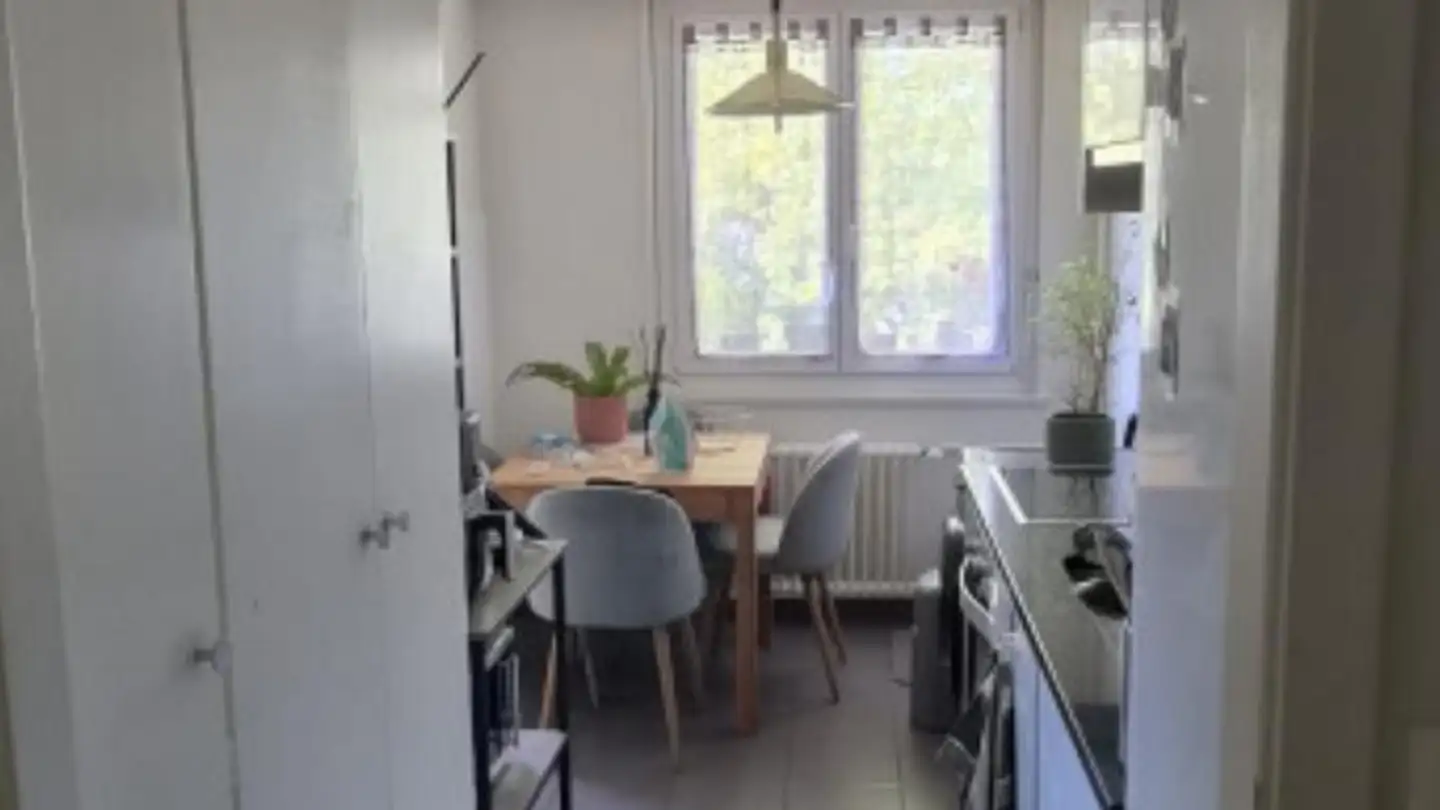 Apartment for rent - L'Ancienne-Route, 1218 Le Grand-Saconnex - Photo 4