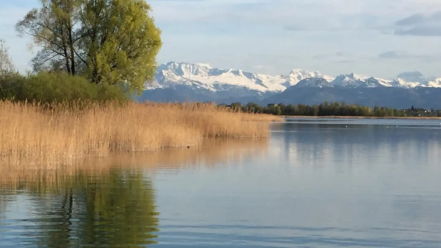 Appartement à louer - Tumbelenstrasse 65, 8330 Pfäffikon ZH - Photo 2